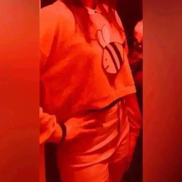 Bee and Puppycat Handmade Bumble Bee Design Bee Anime Cosplay Costume Artwork - Picture 9 of 9